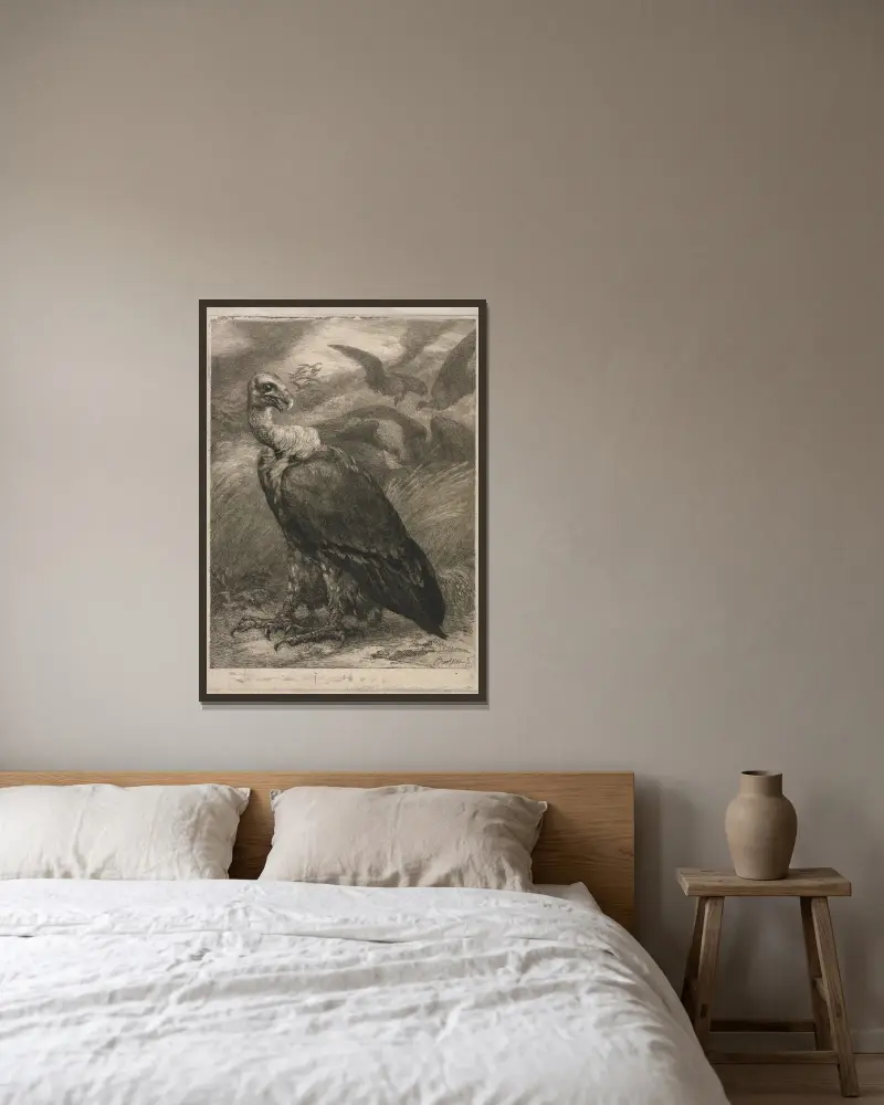 Vulture av Félix Bracquemond inramad på en vägg