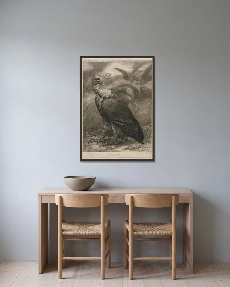 Vulture av Félix Bracquemond inramad på en vägg