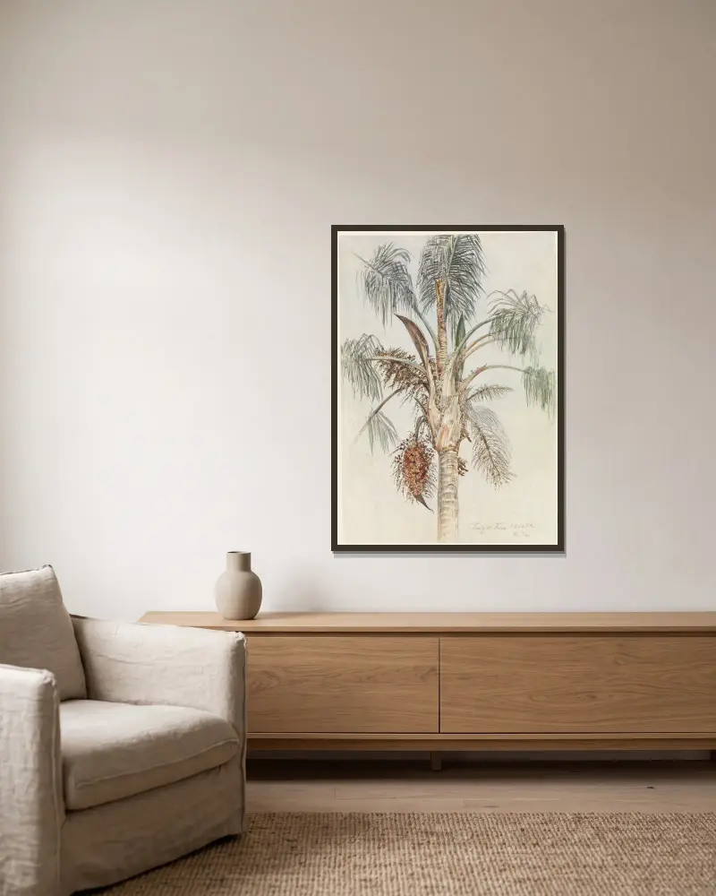 Krone einer Palme (Syagrus macrocarpa) in Juiz de Fora von Ferdinand Keller gerahmt an einer Wand
