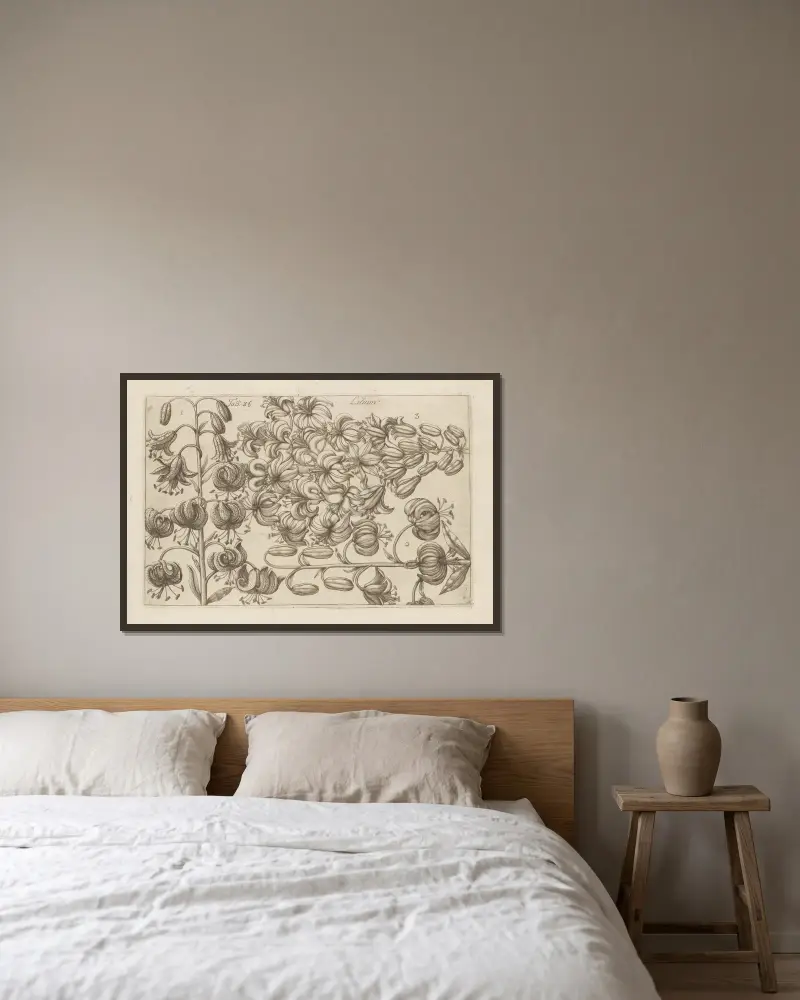 Lilium, 1767 – Nr. 6 von Filippo Arena gerahmt an einer Wand