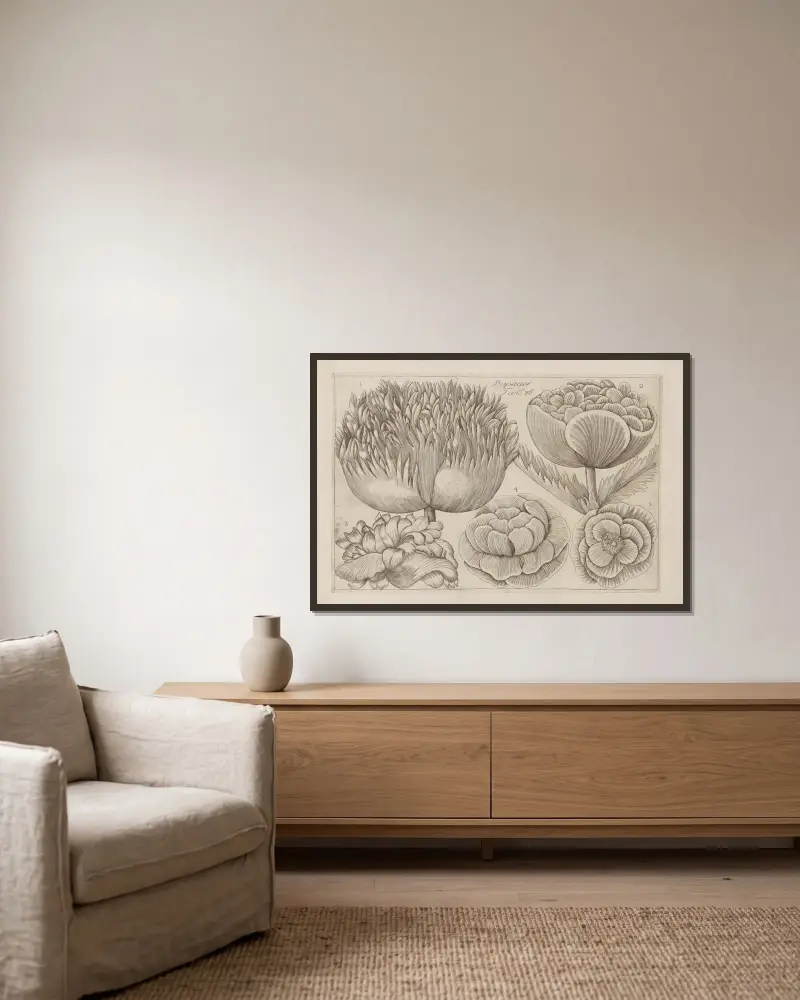 Mohn von Filippo Arena gerahmt an einer Wand