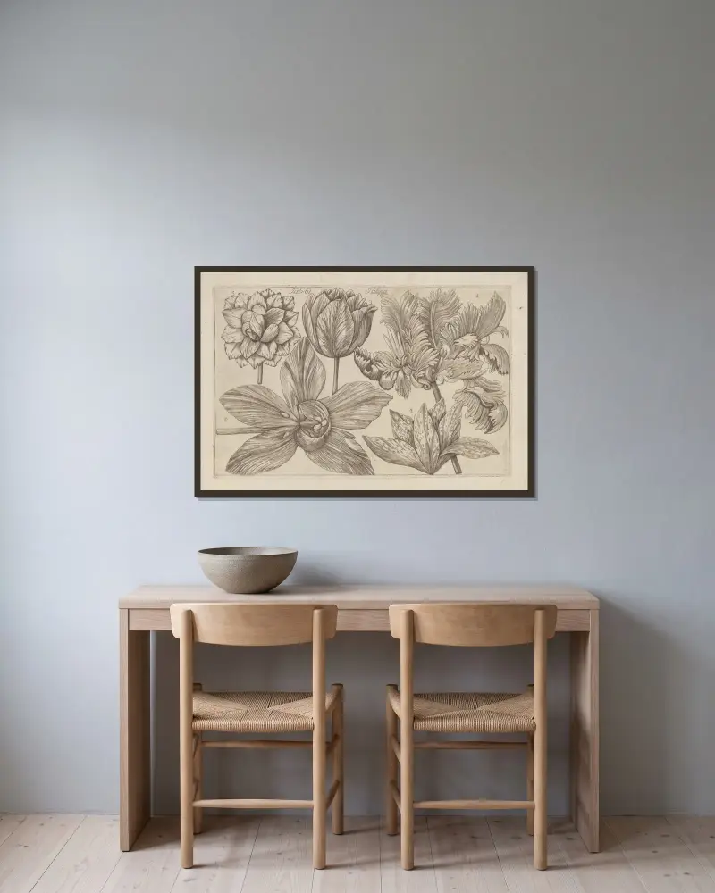 Tulipa, 1767 – nr 3 av Filippo Arena inramad på en vägg
