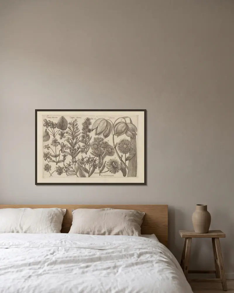 Viola martia, Virga aurea, Yucca, Xeranthemum von Filippo Arena gerahmt an einer Wand