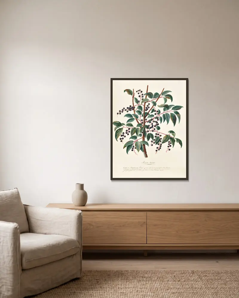 Sammlung des Pflanzenreichs, Bäume, Wald- und Obstbäume, ihre Früchte, Tafel 6 von Pierre Francois Ledoulx gerahmt an einer Wand