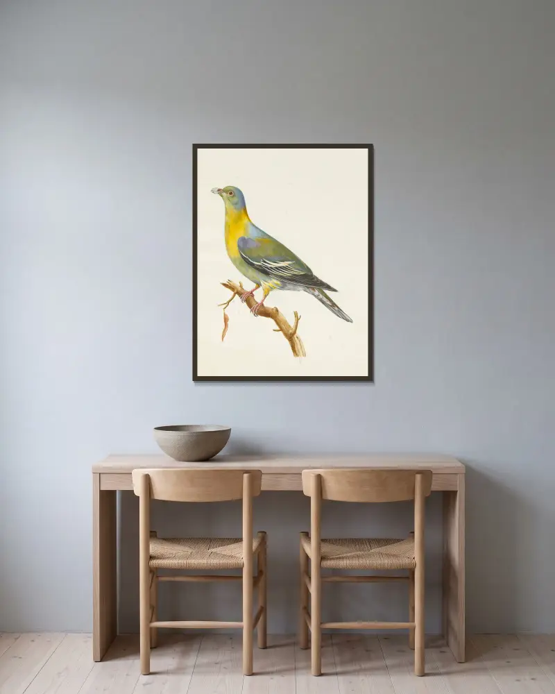 Originalzeichnungen von 12 fremden, unbekannten Tauben, gesammelt vom Reisenden Le Vaillant, Tafel 02 von François Levaillant gerahmt an einer Wand