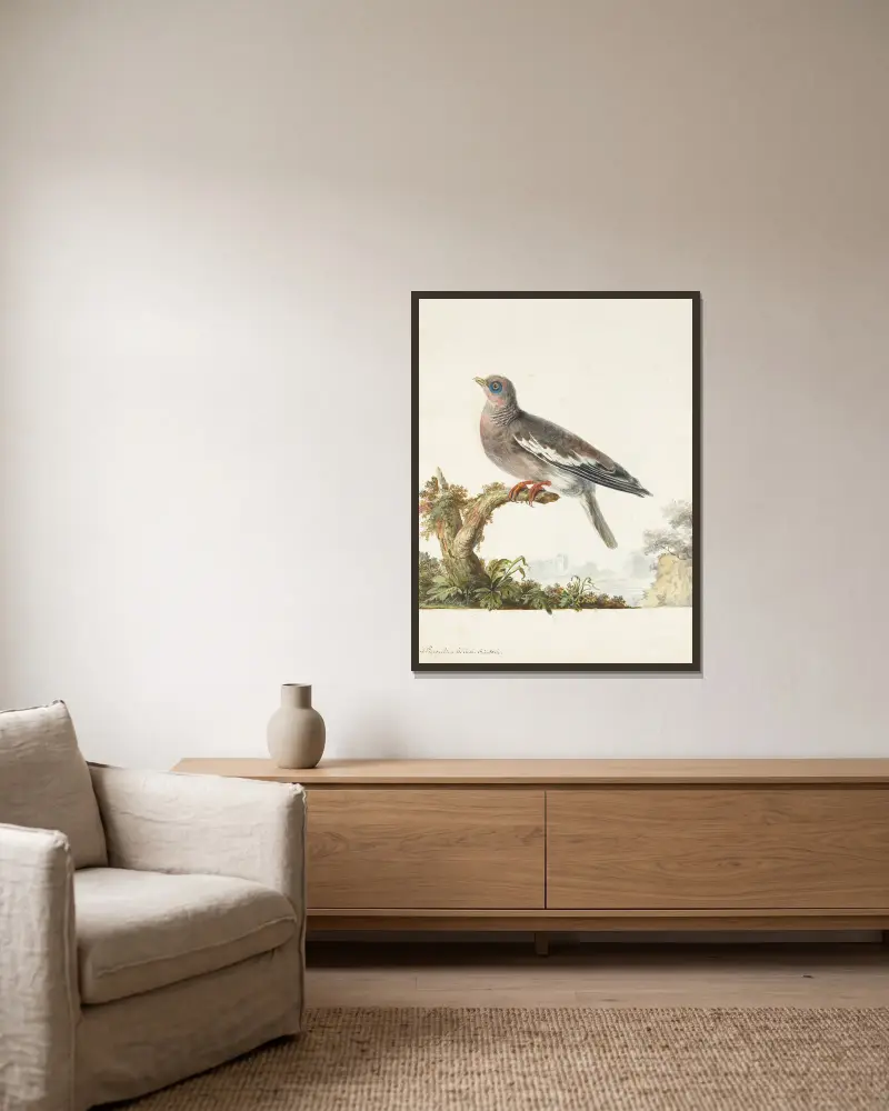 Originalzeichnungen von 12 fremden, unbekannten und vom Reisenden Le Vaillant gesammelten Tauben, Tafel 08 von François Levaillant gerahmt an einer Wand