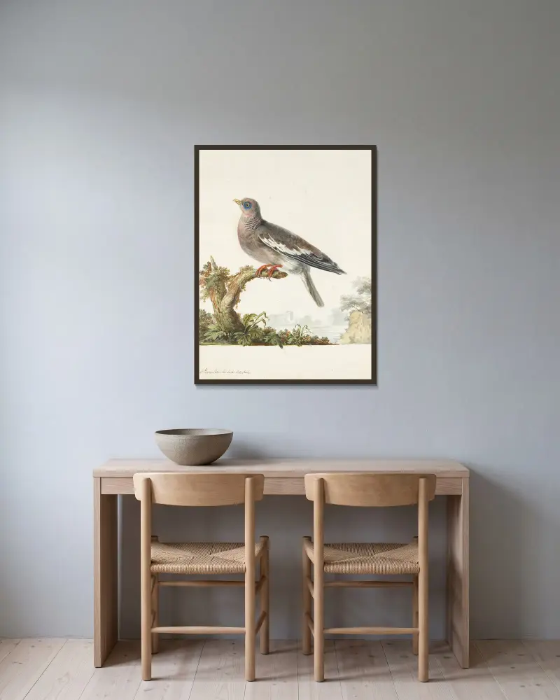 Originalzeichnungen von 12 fremden, unbekannten und vom Reisenden Le Vaillant gesammelten Tauben, Tafel 08 von François Levaillant gerahmt an einer Wand