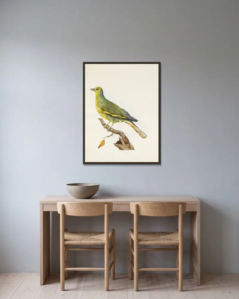 Originalzeichnungen von 12 fremden, unbekannten Tauben, gesammelt vom Reisenden Le Vaillant, Tafel 06 von François Levaillant gerahmt an einer Wand