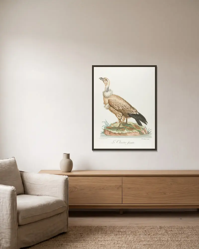 Le chasse-fiente von François Levaillant gerahmt an einer Wand