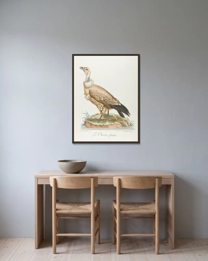 Le chasse-fiente von François Levaillant gerahmt an einer Wand