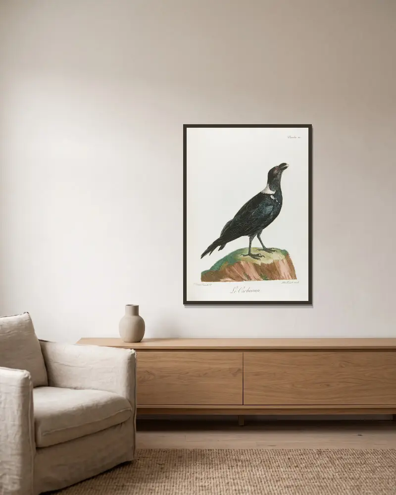 Le corbivan (Vogelillustration) von François Levaillant gerahmt an einer Wand