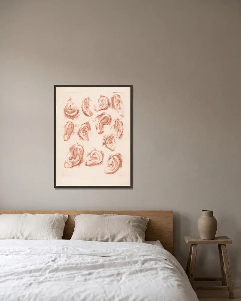 Zwölf verschiedene Ohren von Louis-François Roubiliac gerahmt an einer Wand