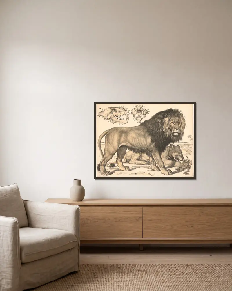 Löwe (Felis leo) av Franz Engleder inramad på en vägg