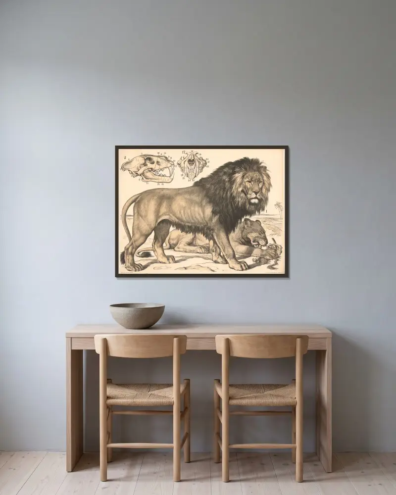 Löwe (Felis leo) av Franz Engleder inramad på en vägg
