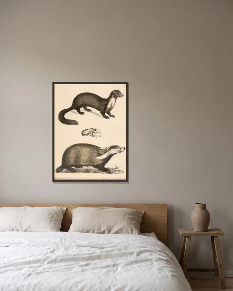 Mård (Mustela martes) i naturlig storlek, dess skalle, grävling (Meles vulgaris) av Franz Engleder inramad på en vägg