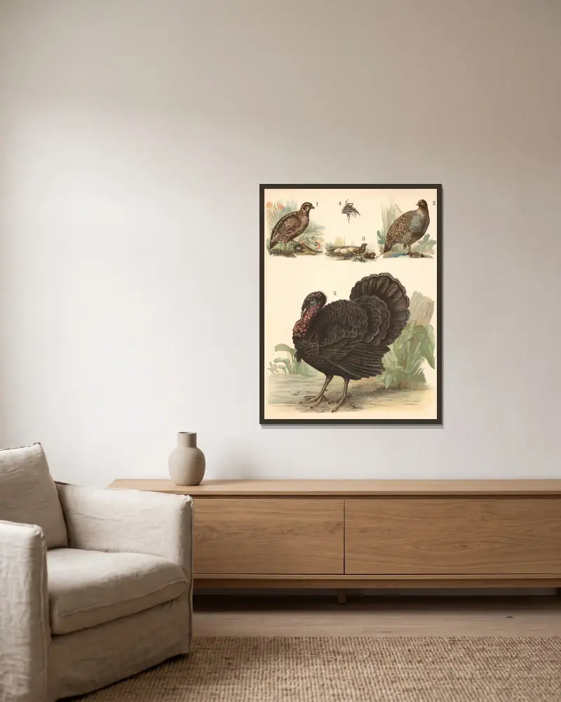 Quail, partridge, turkey av Franz Engleder inramad på en vägg