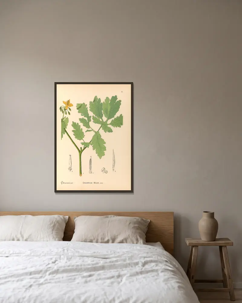 Medicinal Plants Pl.114 av Charles Frederick Millspaugh inramad på en vägg