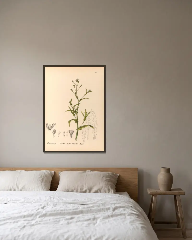 Medicinal Plants Pl.118 av Charles Frederick Millspaugh inramad på en vägg
