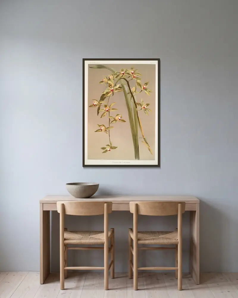 Cymbidium lowianum. av Frederick Sander inramad på en vägg