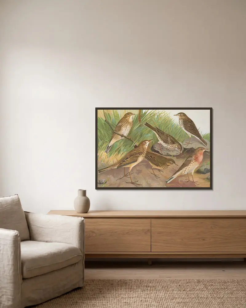 Anthus trivialis, pratensis, Richardi Vieillot, cervinus, pensilvanicus von Johann Friedrich Naumann gerahmt an einer Wand