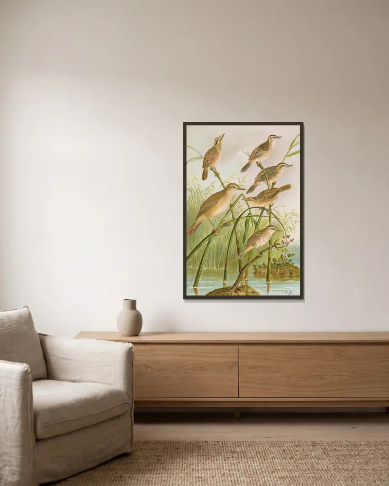 Calamodus schoenobaenus, aquaticus, arundinaceus von Johann Friedrich Naumann gerahmt an einer Wand