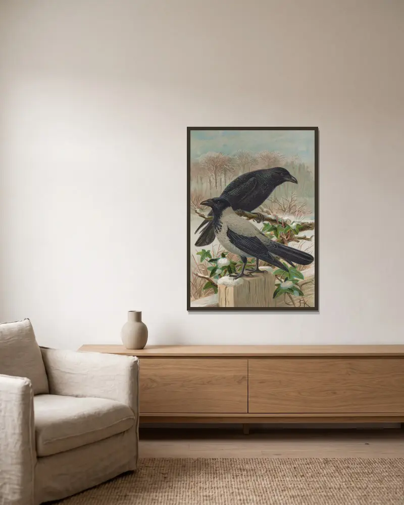 Corvus corone, Corvus cornix von Johann Friedrich Naumann gerahmt an einer Wand