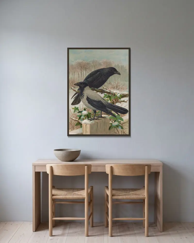 Corvus corone, Corvus cornix von Johann Friedrich Naumann gerahmt an einer Wand