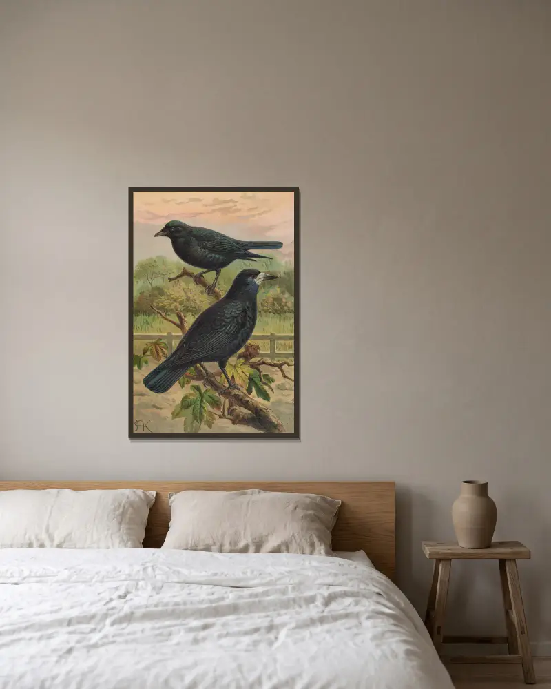 Corvus frugilegus av Johann Friedrich Naumann inramad på en vägg