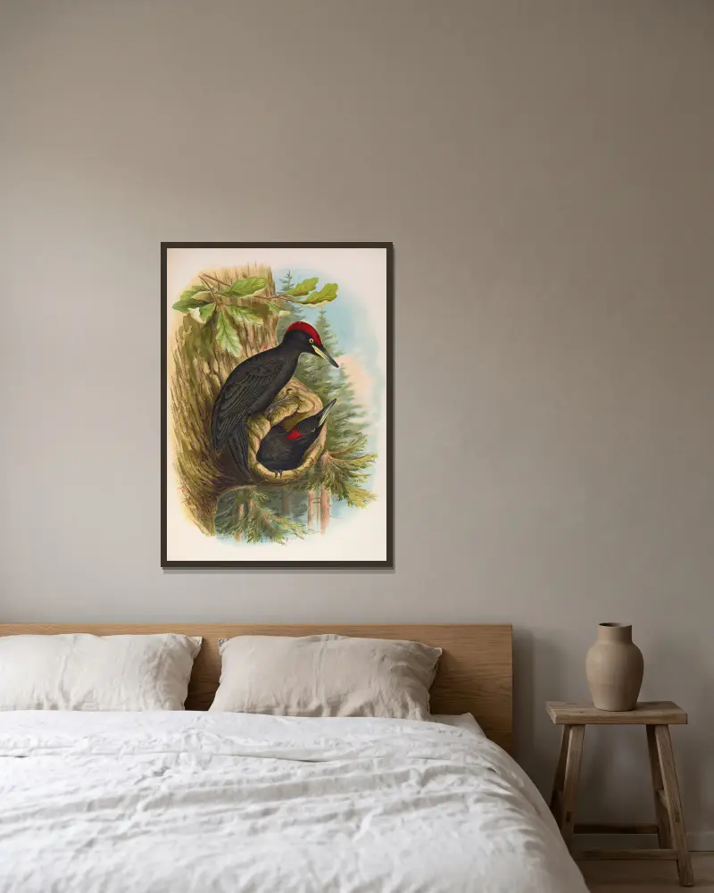 Dryocopus martius von Johann Friedrich Naumann gerahmt an einer Wand