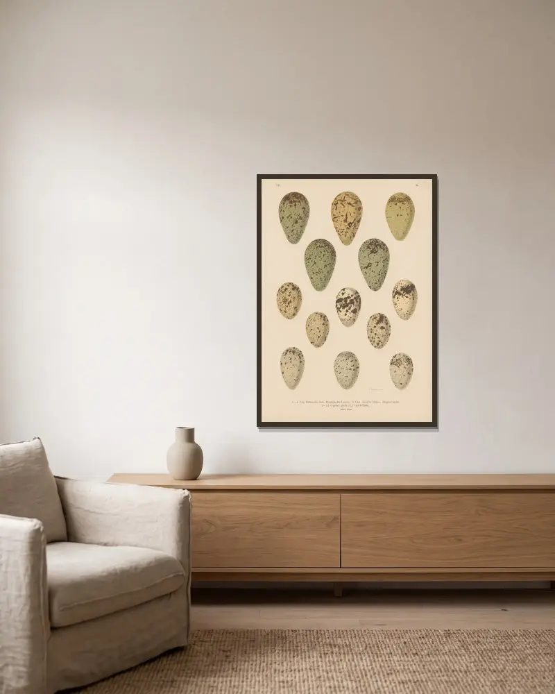 Eiertafel – Nr. 5 von Johann Friedrich Naumann gerahmt an einer Wand