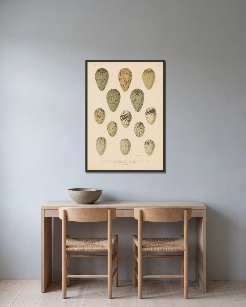 Eiertafel – Nr. 5 von Johann Friedrich Naumann gerahmt an einer Wand