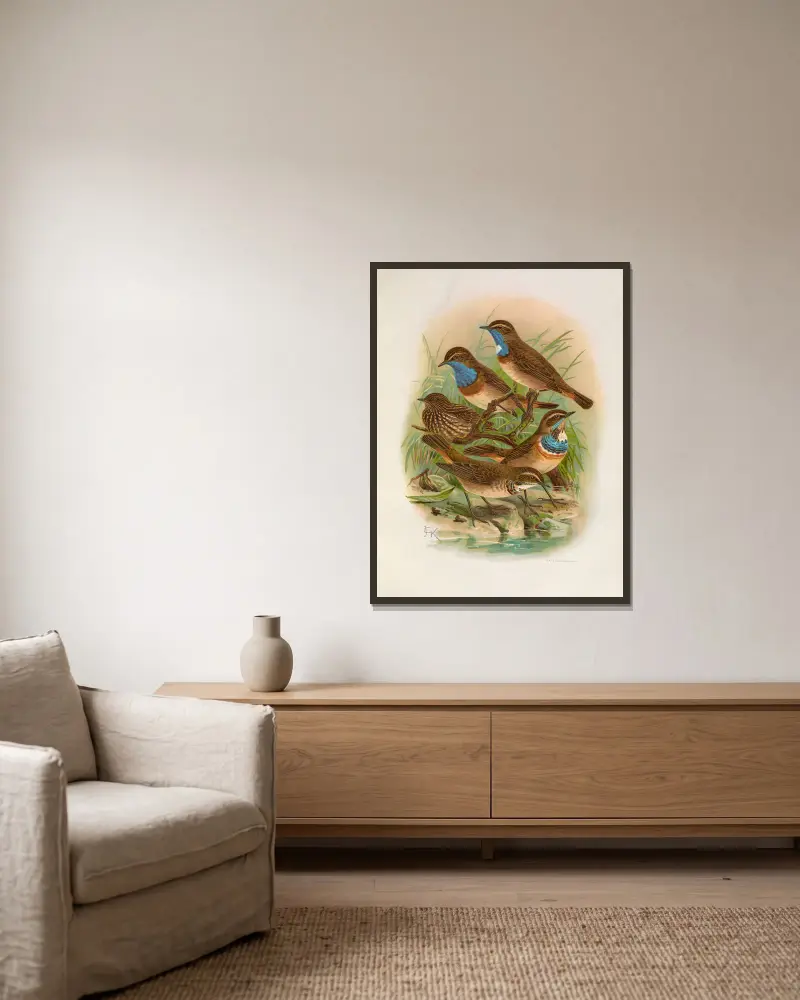 Erithacus cyaneculus von Johann Friedrich Naumann gerahmt an einer Wand