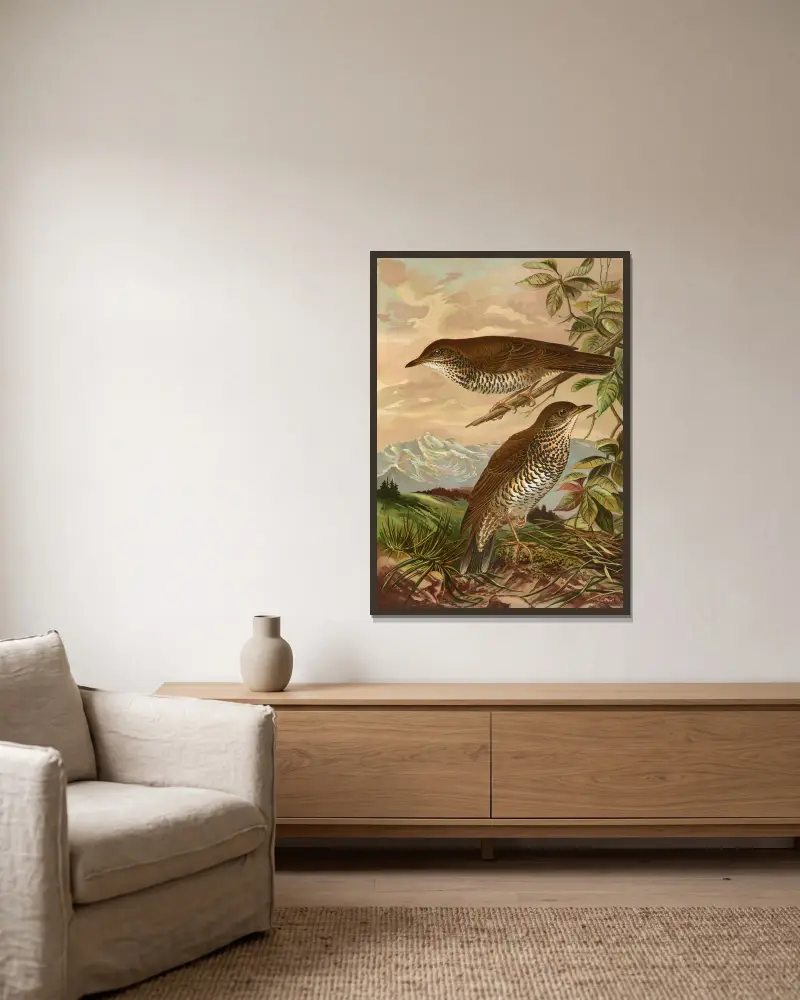 Geocichla mollissima von Johann Friedrich Naumann gerahmt an einer Wand