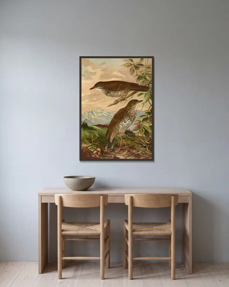 Geocichla mollissima von Johann Friedrich Naumann gerahmt an einer Wand