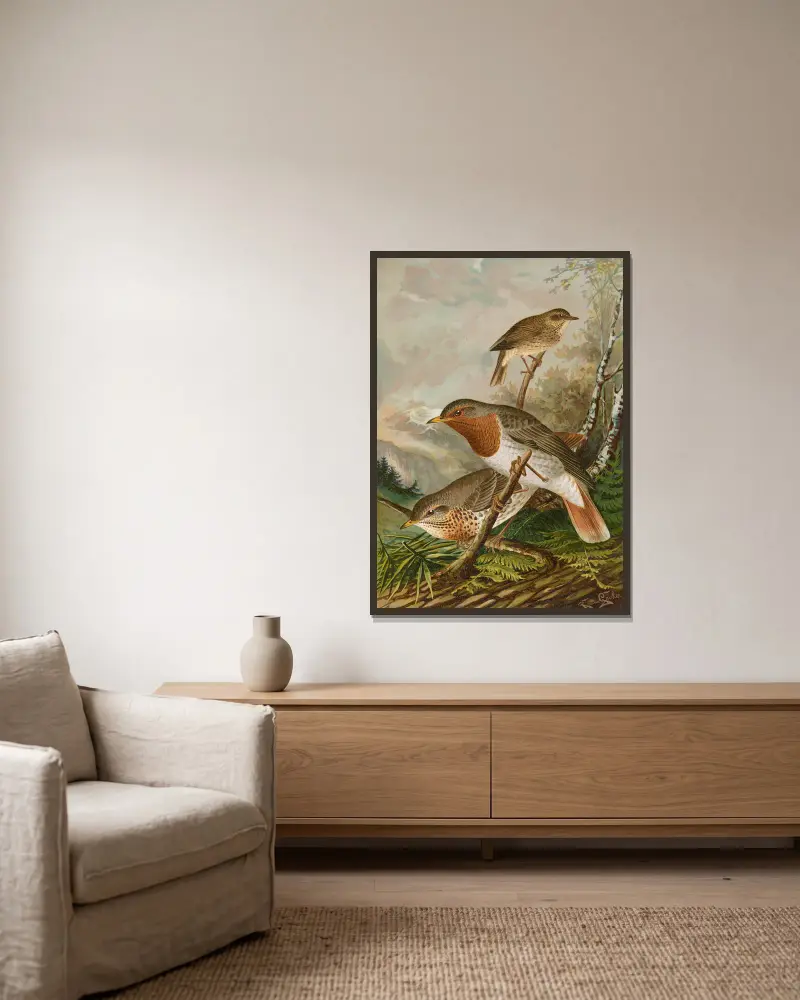 Turdus ruficollis von Johann Friedrich Naumann gerahmt an einer Wand