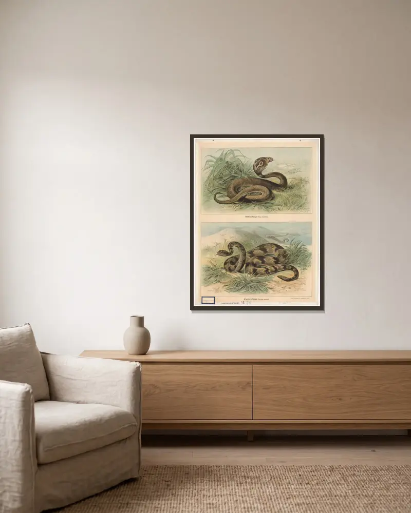 Glasögonorm (Naja tripudians). Skallerorm (Crotalus durissus) av Friedrich Specht inramad på en vägg