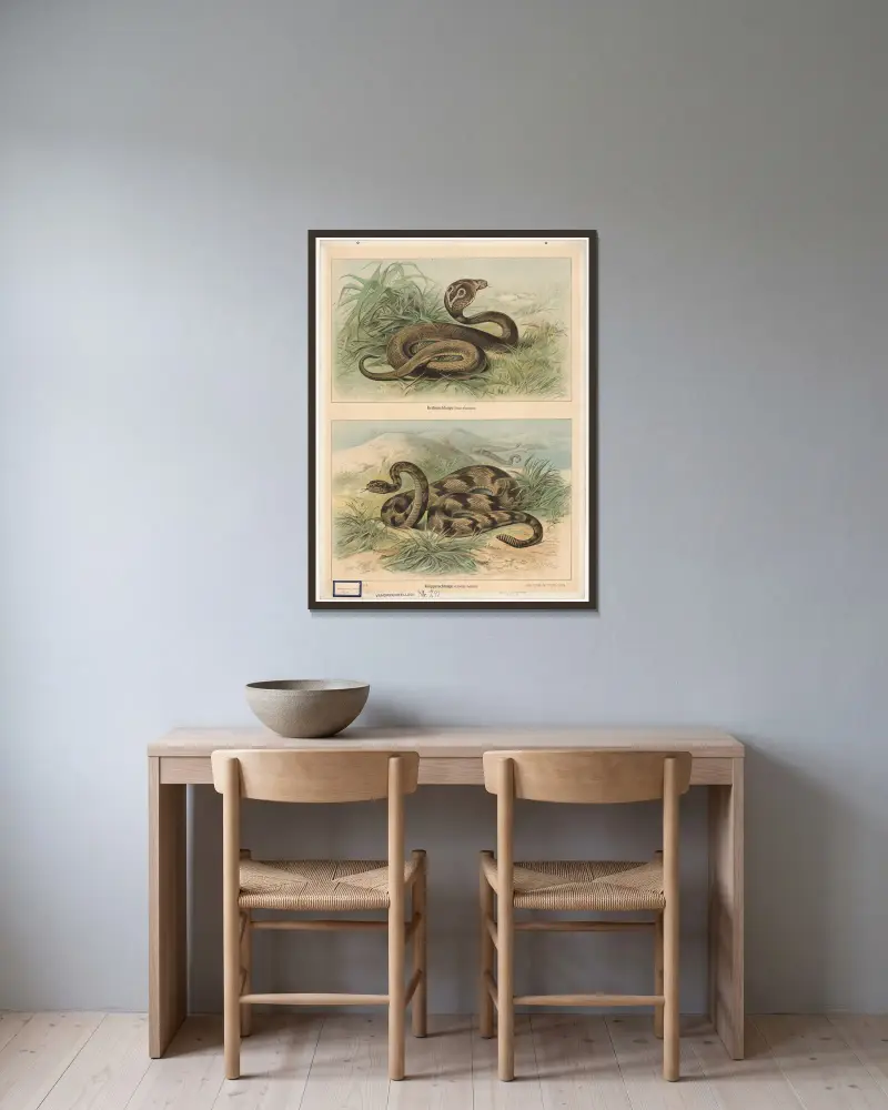 Glasögonorm (Naja tripudians). Skallerorm (Crotalus durissus) av Friedrich Specht inramad på en vägg