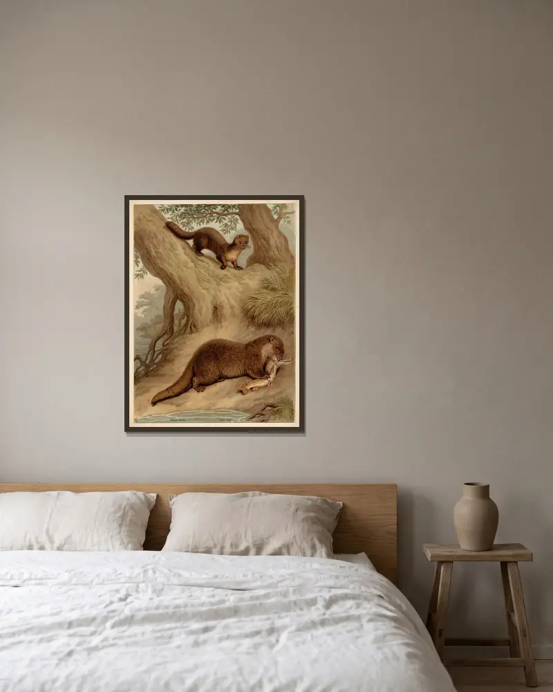 Mustela martes. Lutra vulgaris. av Friedrich Specht inramad på en vägg