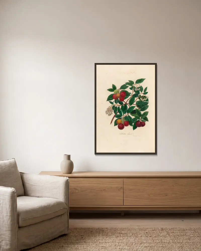 Arbutus unedo von Gaetano Savi gerahmt an einer Wand