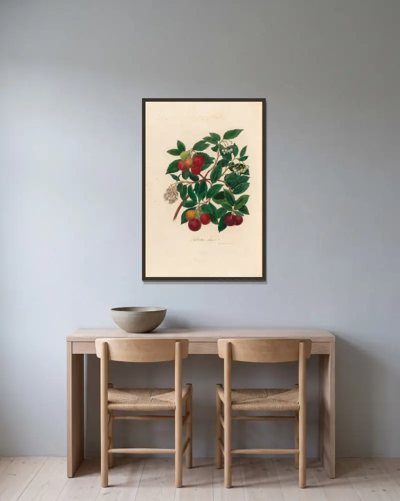 Arbutus unedo von Gaetano Savi gerahmt an einer Wand