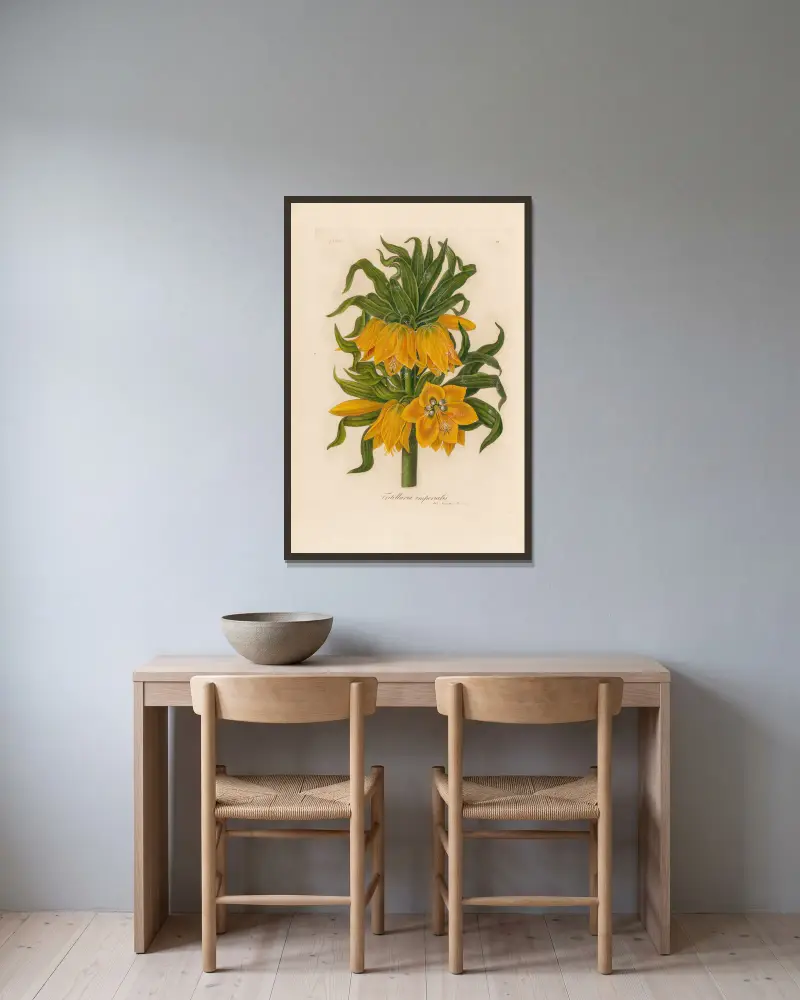 Fritillaria imperialis av Gaetano Savi inramad på en vägg