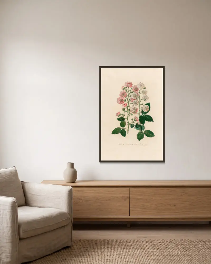 Rubus fruticosus flore pleno, albo et rubro von Gaetano Savi gerahmt an einer Wand