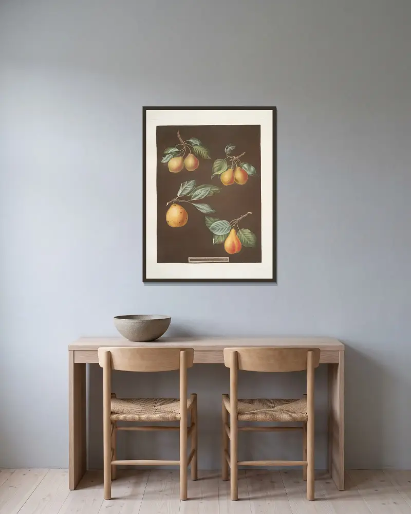 Äpfel (Pomme d’Apt, Courpendu Blanche, Royal Nonsuch, Margill und Summer Nonsuch-Sorten), 1812 – Nr. 1 von George Brookshaw gerahmt an einer Wand