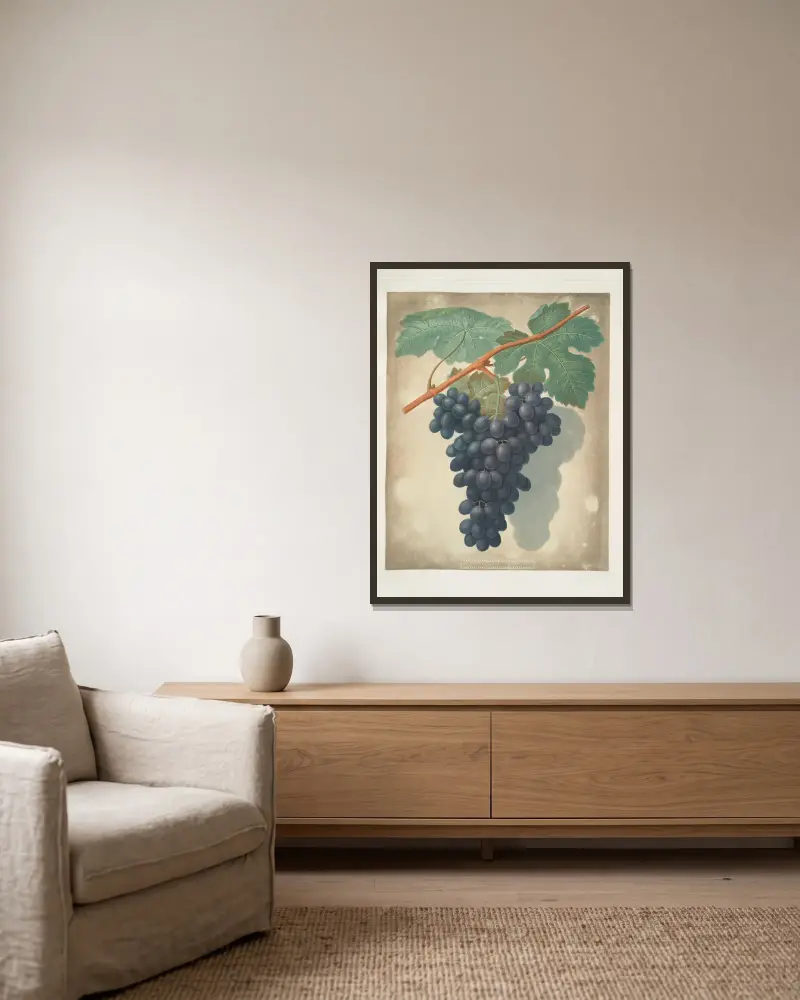 Marokkanische Traube von George Brookshaw gerahmt an einer Wand