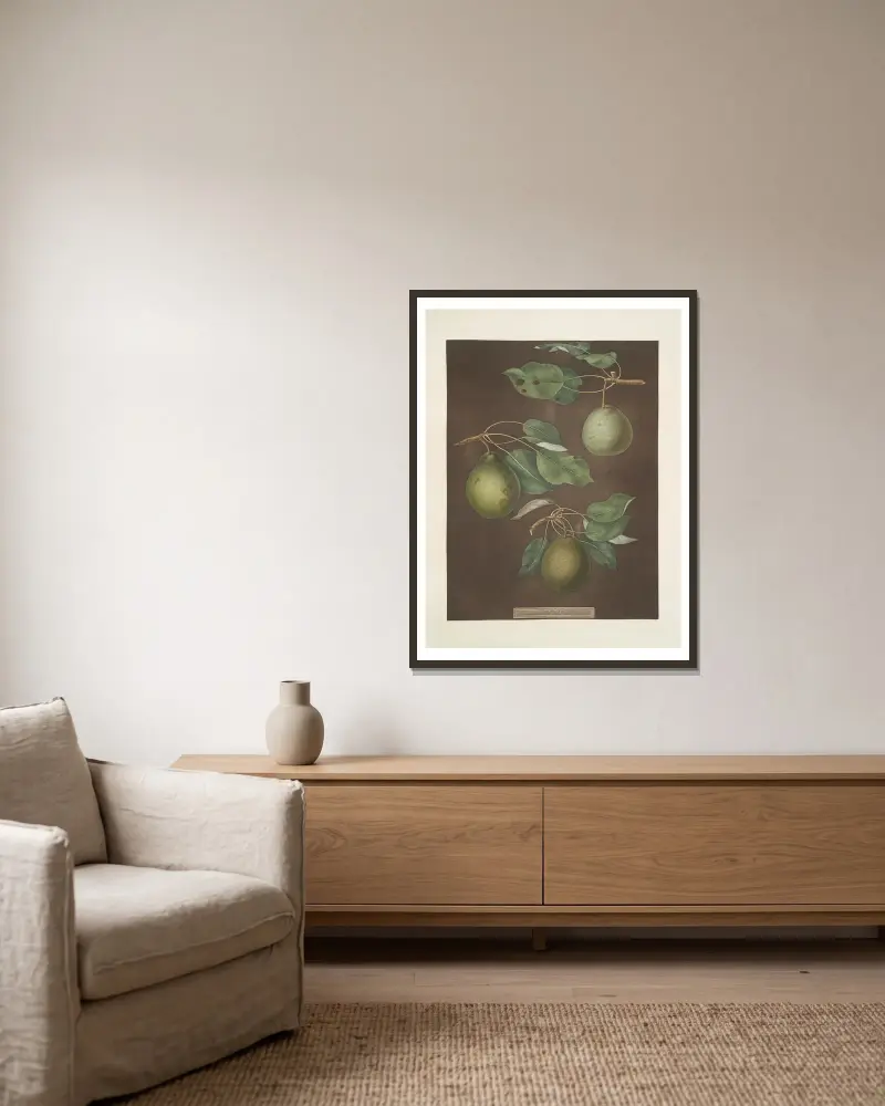 Pears (Cressan, Tarlington and the Aster bergamot varities)., 1812 – nr 6 av George Brookshaw inramad på en vägg