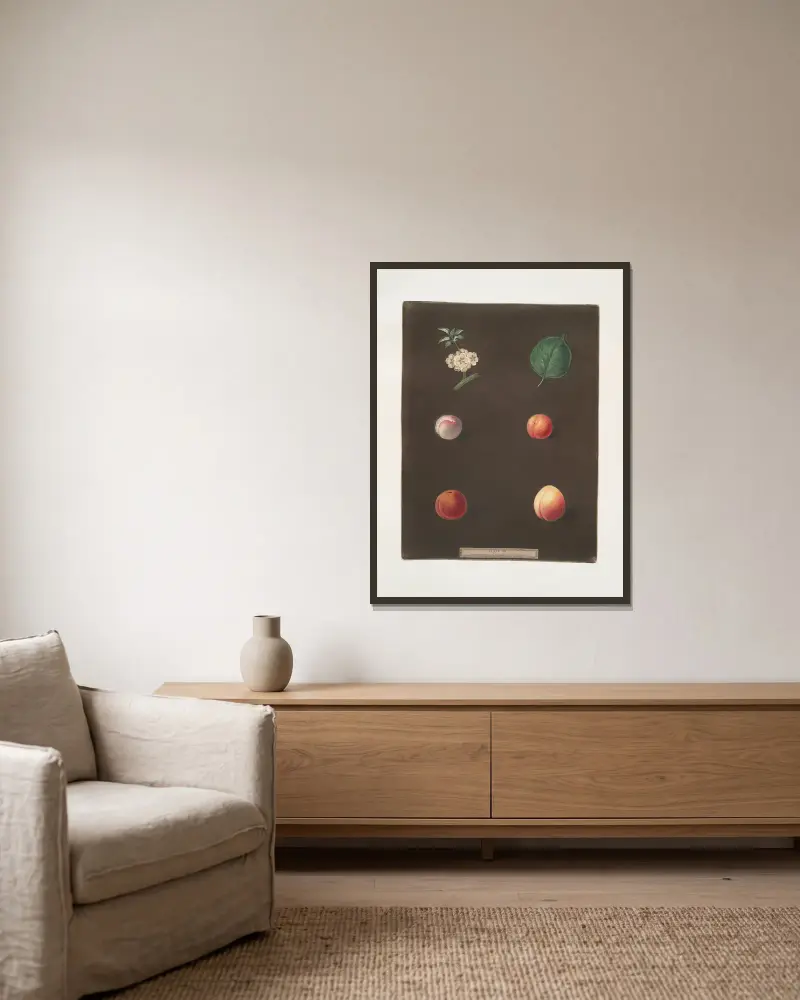 Royal Dauphin, Wine sour, Prune, Myrabolan and Carnation plums. av George Brookshaw inramad på en vägg