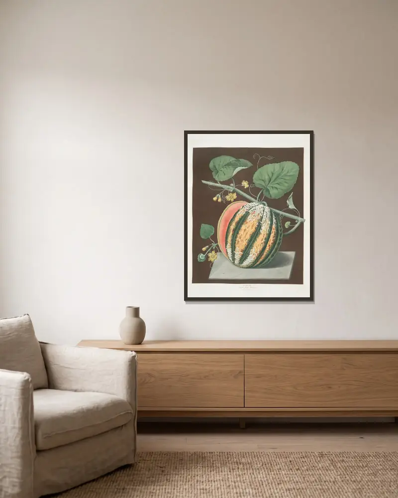 Scharlachrote Fleisch-Romana-Melone von George Brookshaw gerahmt an einer Wand