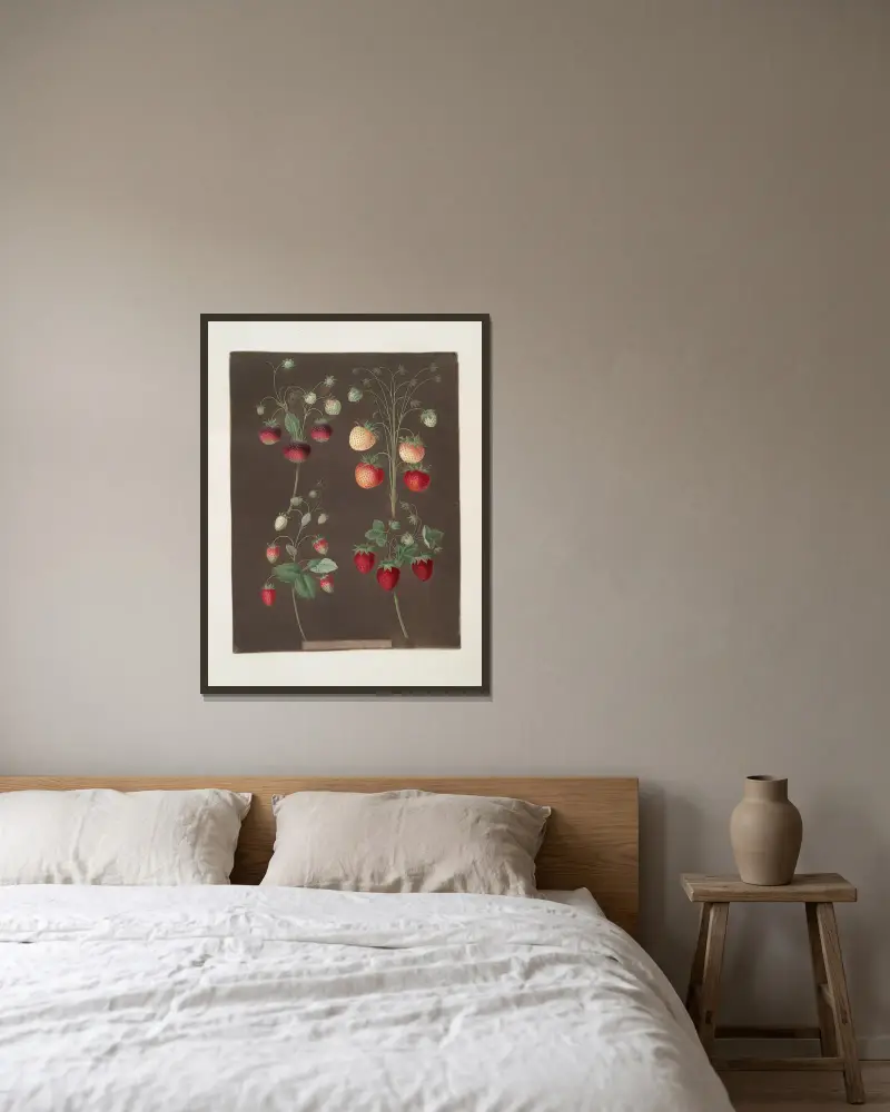 Erdbeersorten; Hoboy – Chili-Erdbeere – Scarlet-Alpine – Scarlet-Flesh-Pine, 1812 von George Brookshaw gerahmt an einer Wand