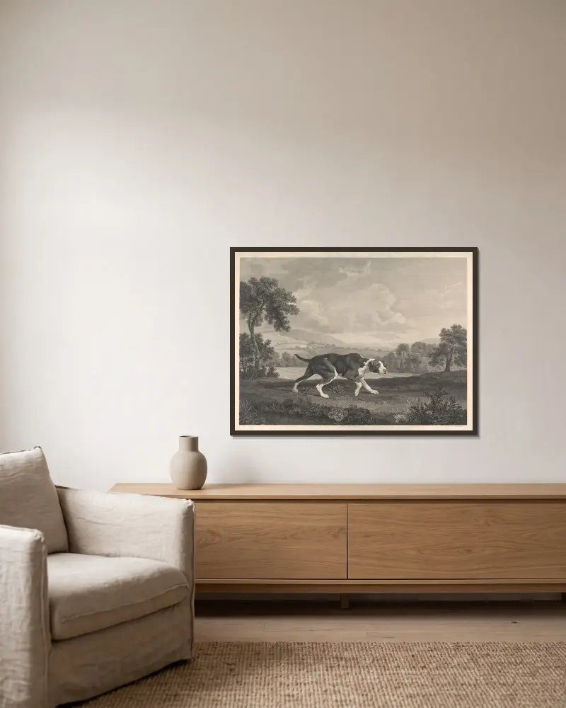Der spanische Pointer von George Stubbs gerahmt an einer Wand
