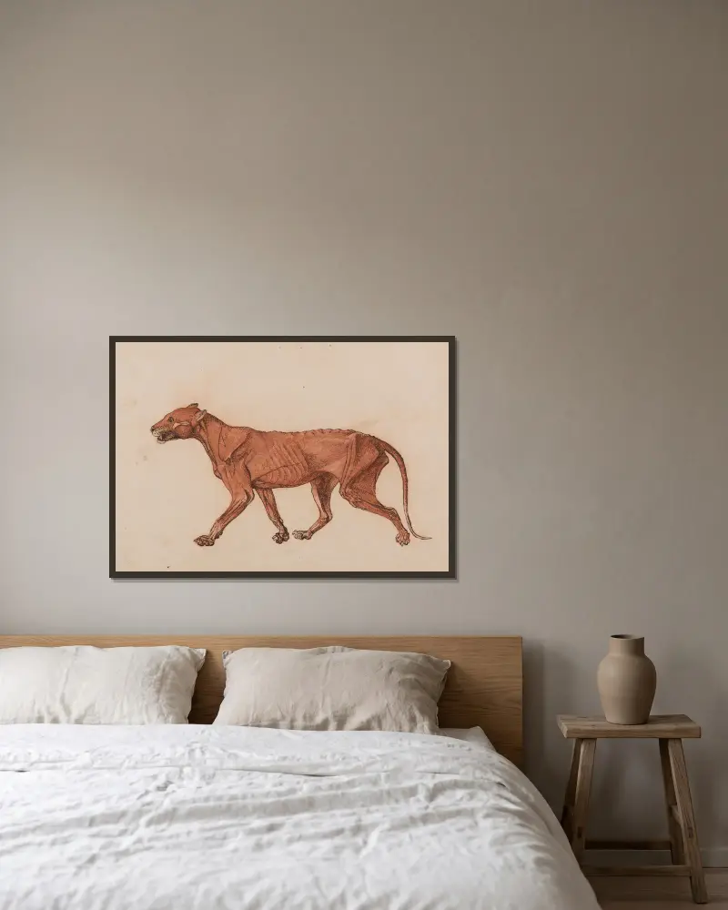 Tigerkörper, Seitenansicht, 1795 – Nr. 3 von George Stubbs gerahmt an einer Wand